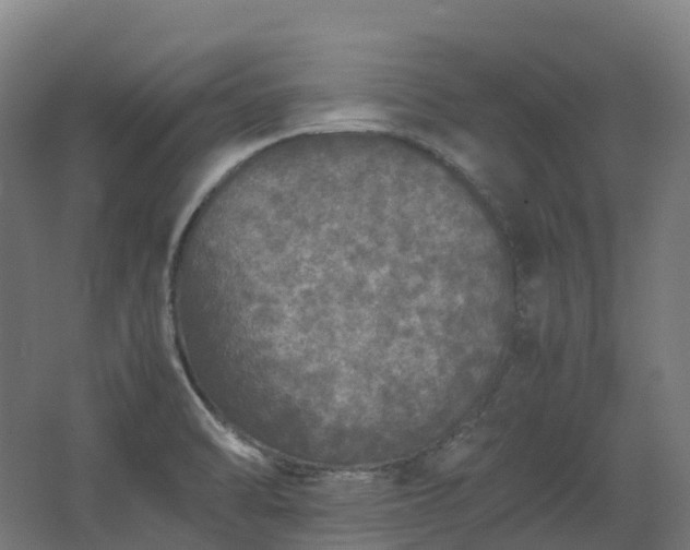 X0000067851470200604201255