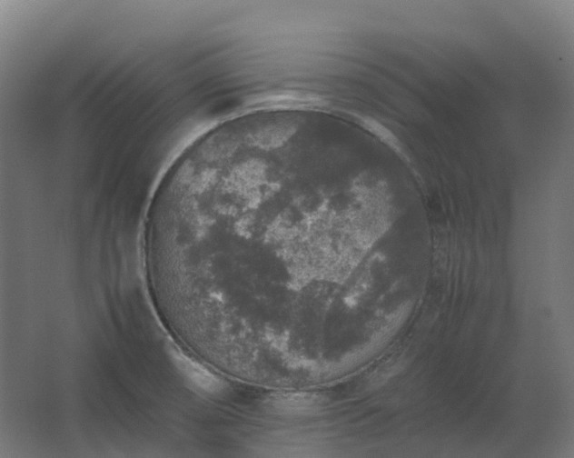 X0000067851474200604201254