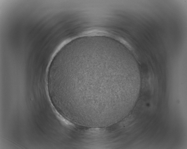 X0000067851478200604201254