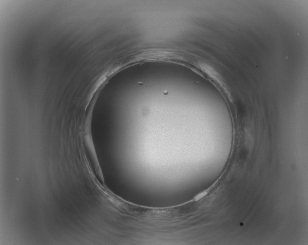 X0000067851481200604201254