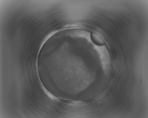 X0000067851482200604201254