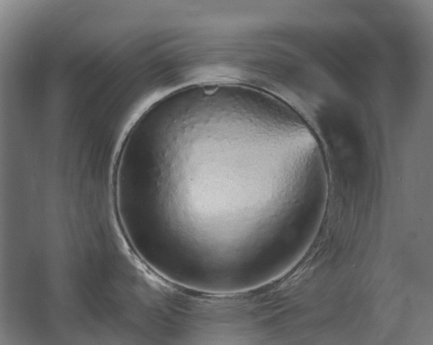 X0000067851488200604201254