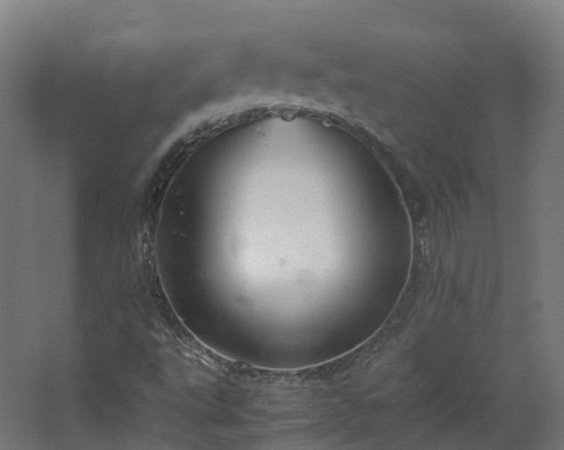 X0000067851495200604201254