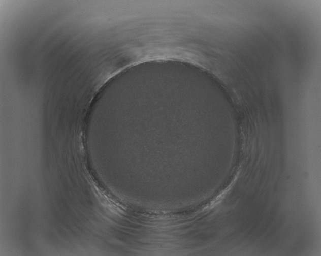 X0000067851497200604201254