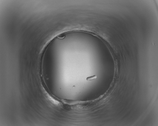 X0000067851500200604201254