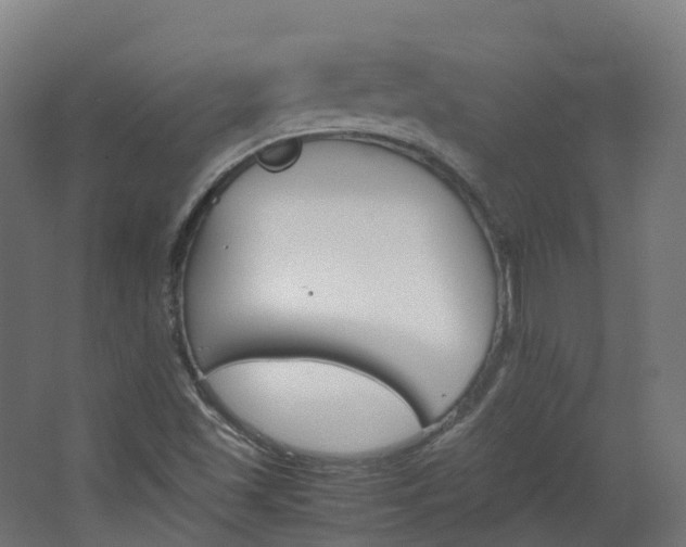 X0000067851501200604201254
