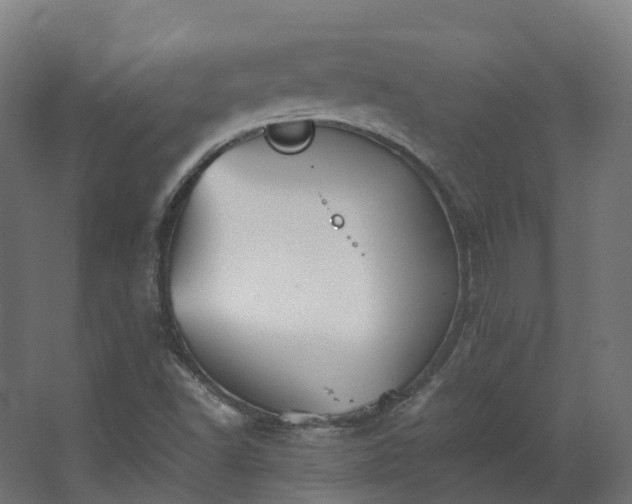 X0000067851502200604201254