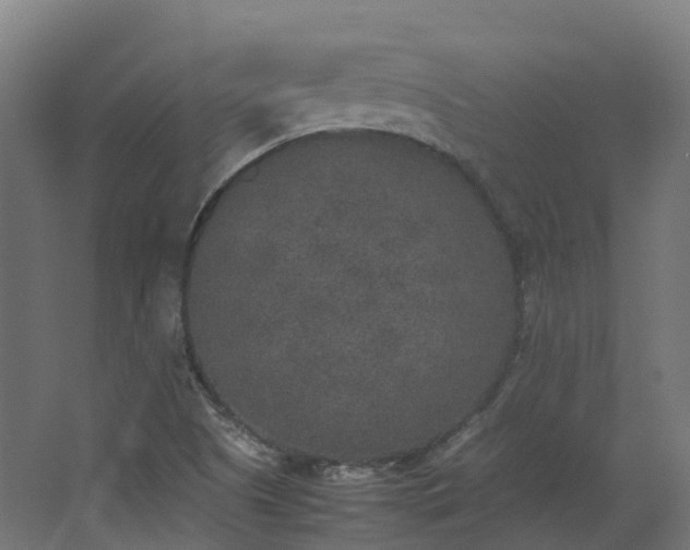 X0000067851505200604201254