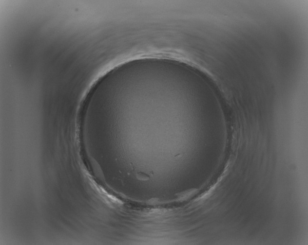 X0000067851506200604201254