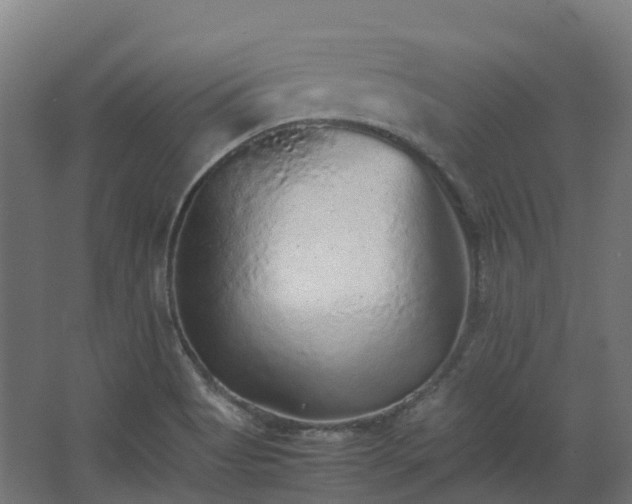 X0000067851513200604201254