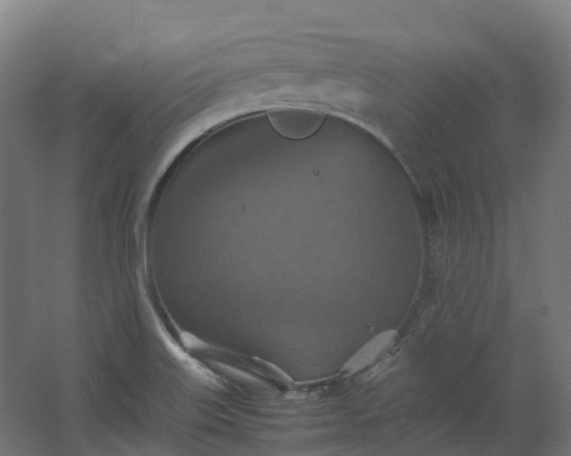 X0000067851515200604201254