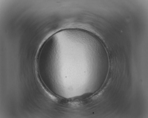 X0000067851517200604201254