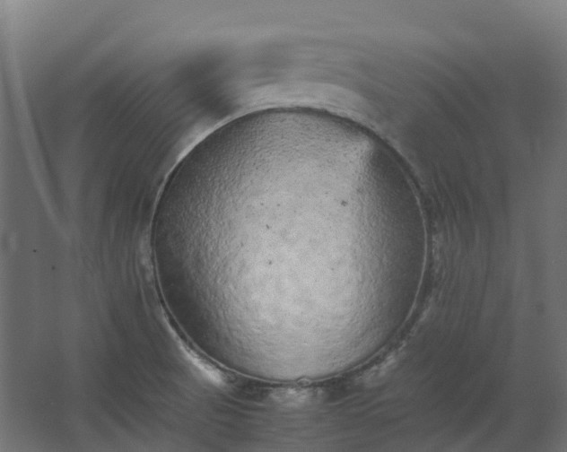 X0000067851521200604201254