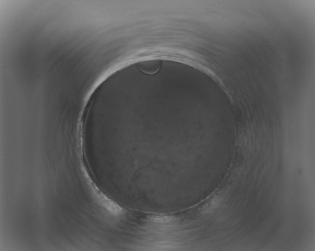 X0000067851522200604201254