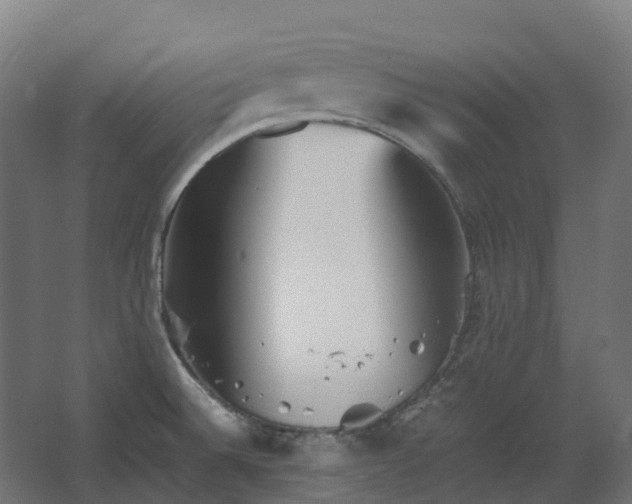 X0000067851524200604201254