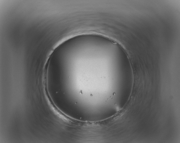 X0000067851526200604201254