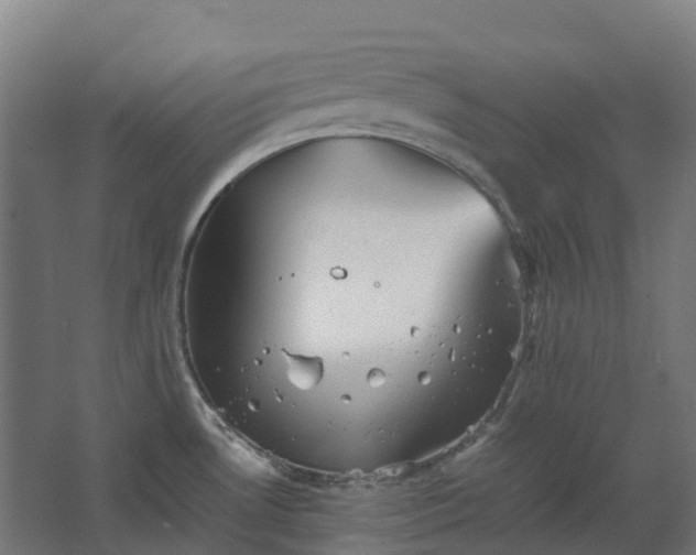 X0000067851530200604201254