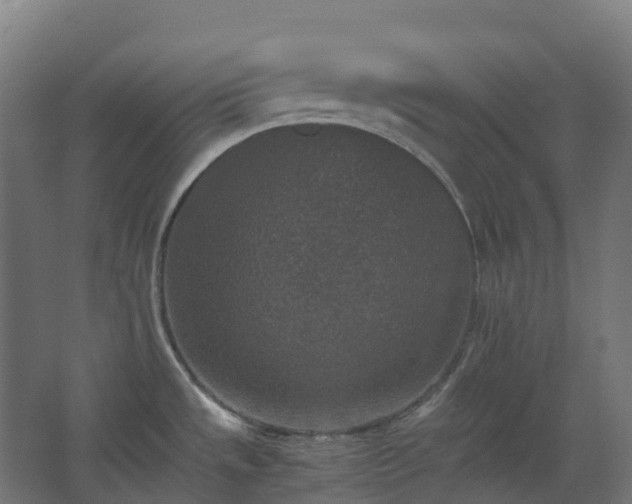 X0000067851533200604201254