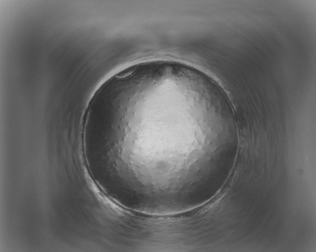 X0000067851534200604201254