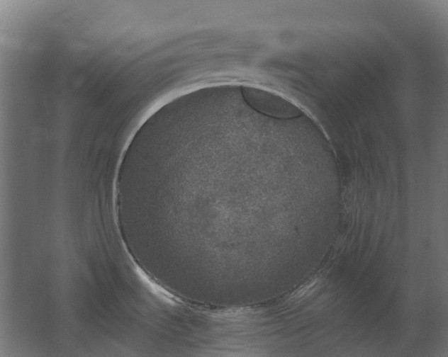 X0000067851535200604201254