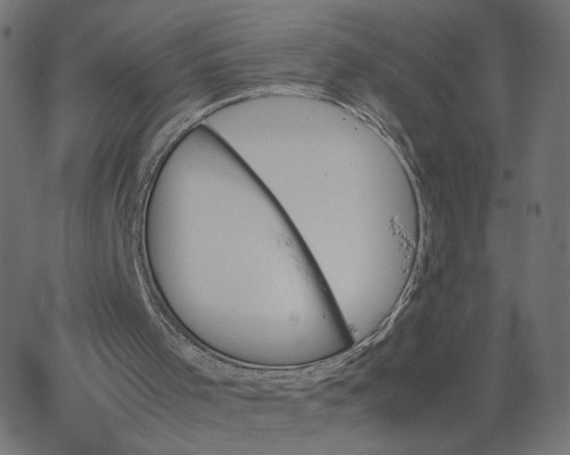 X0000067850001200604271657