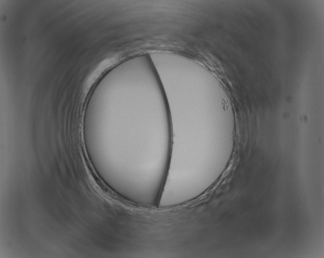 X0000067850003200604271657