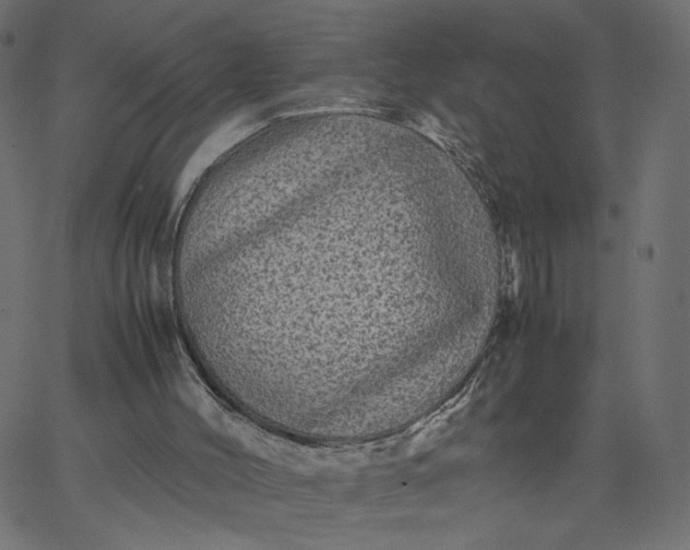 X0000067850004200604271657