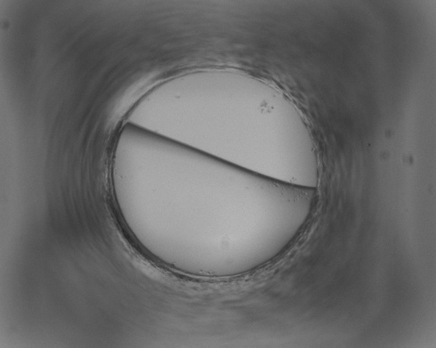 X0000067850005200604271657