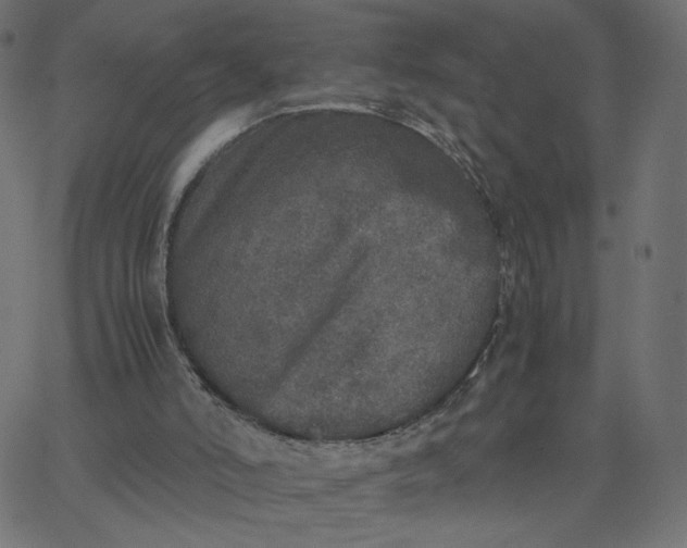 X0000067850006200604271657