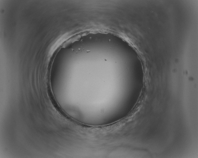 X0000067850007200604271657