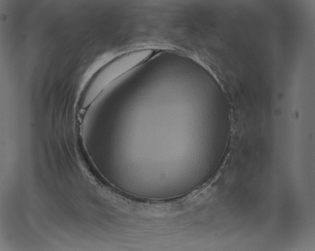 X0000067850008200604271657