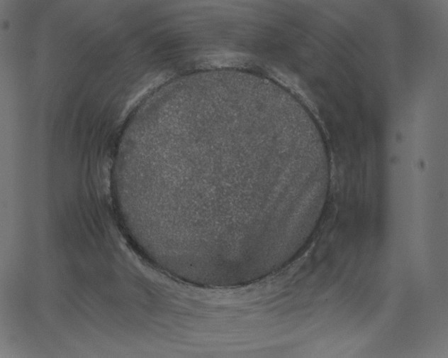 X0000067850010200604271657