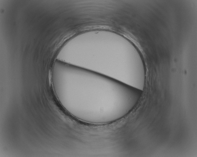 X0000067850013200604271656