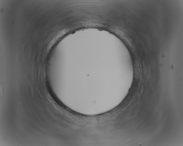 X0000067850015200604271656