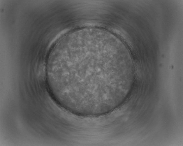 X0000067850016200604271656