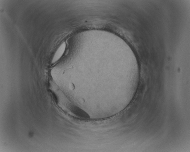 X0000067850017200604271656