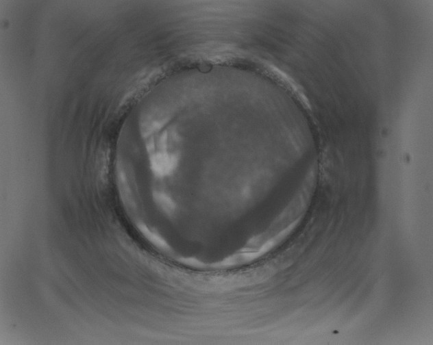 X0000067850018200604271656