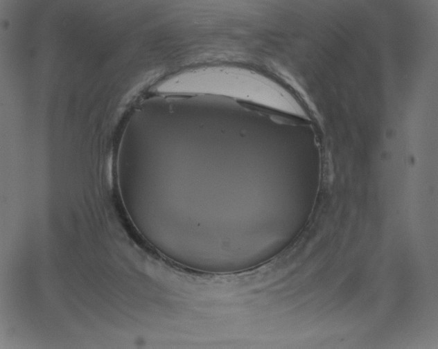 X0000067850019200604271656