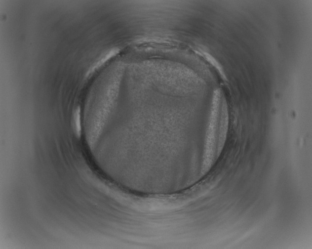 X0000067850020200604271656