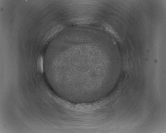 X0000067850022200604271656