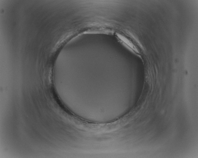 X0000067850023200604271656