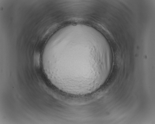 X0000067850024200604271656