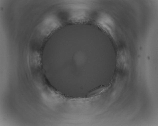 X0000067850025200604271656