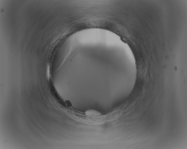 X0000067850027200604271656