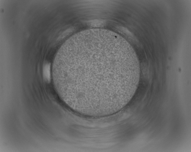 X0000067850028200604271656