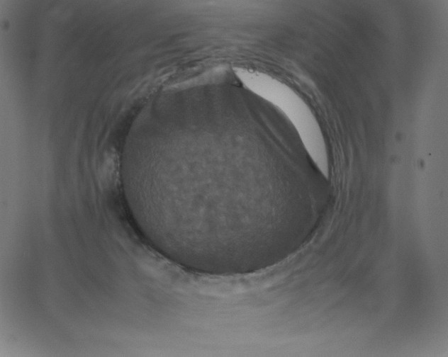 X0000067850029200604271656