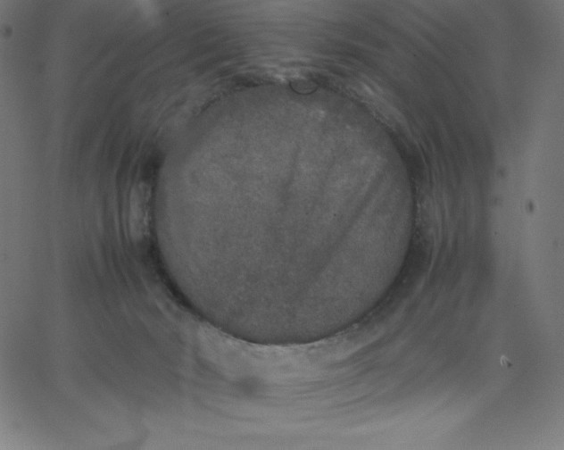 X0000067850030200604271656