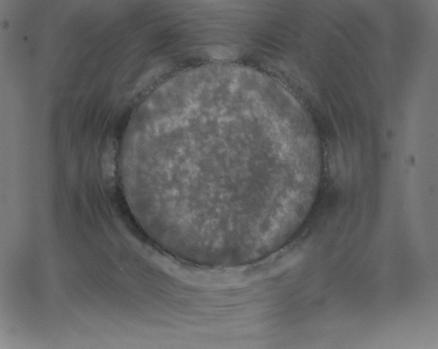 X0000067850032200604271656