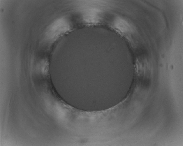 X0000067850033200604271656