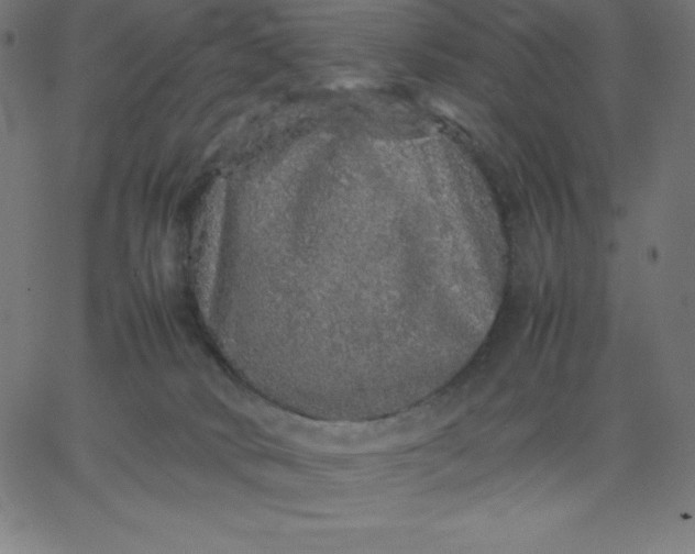 X0000067850034200604271656